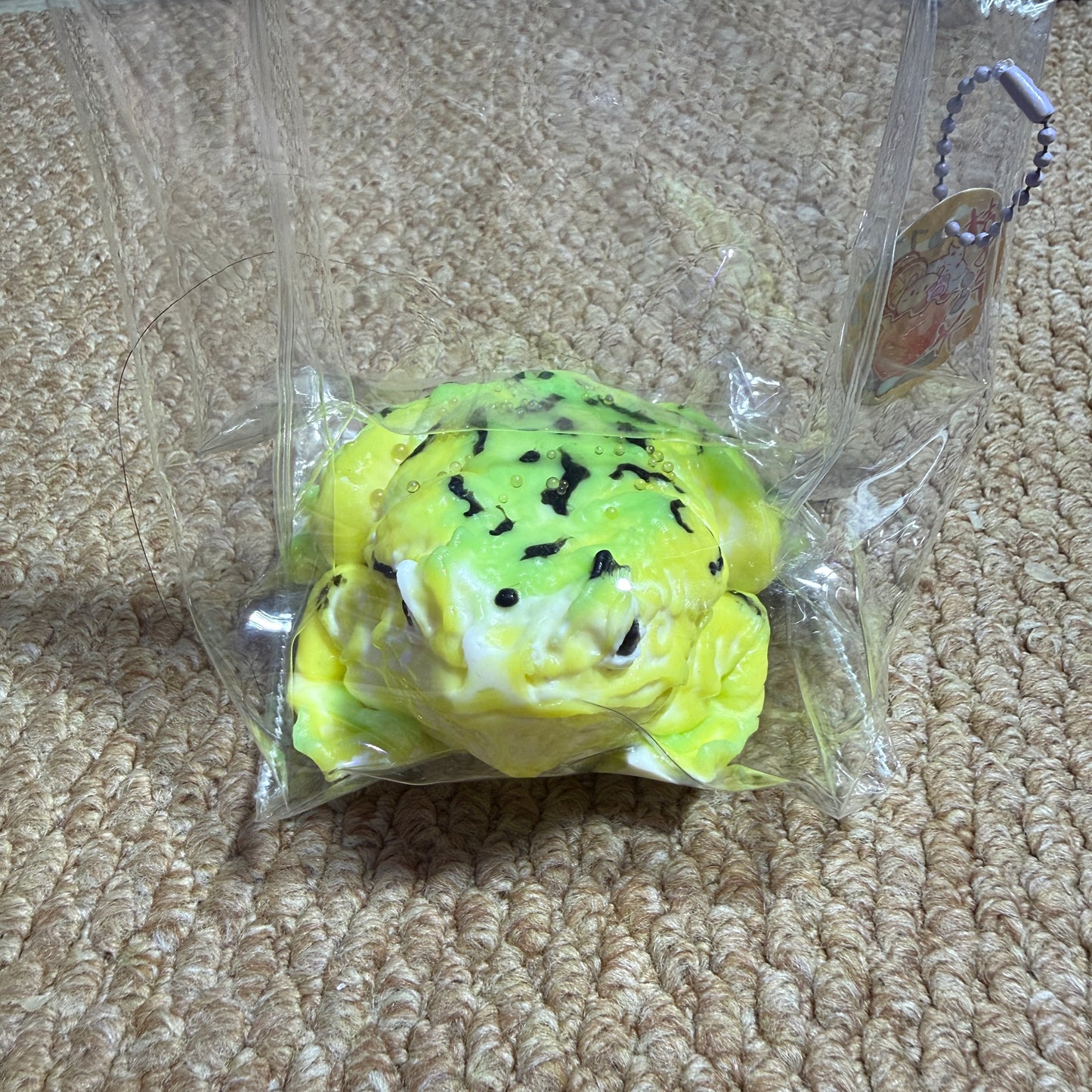 animal squishy